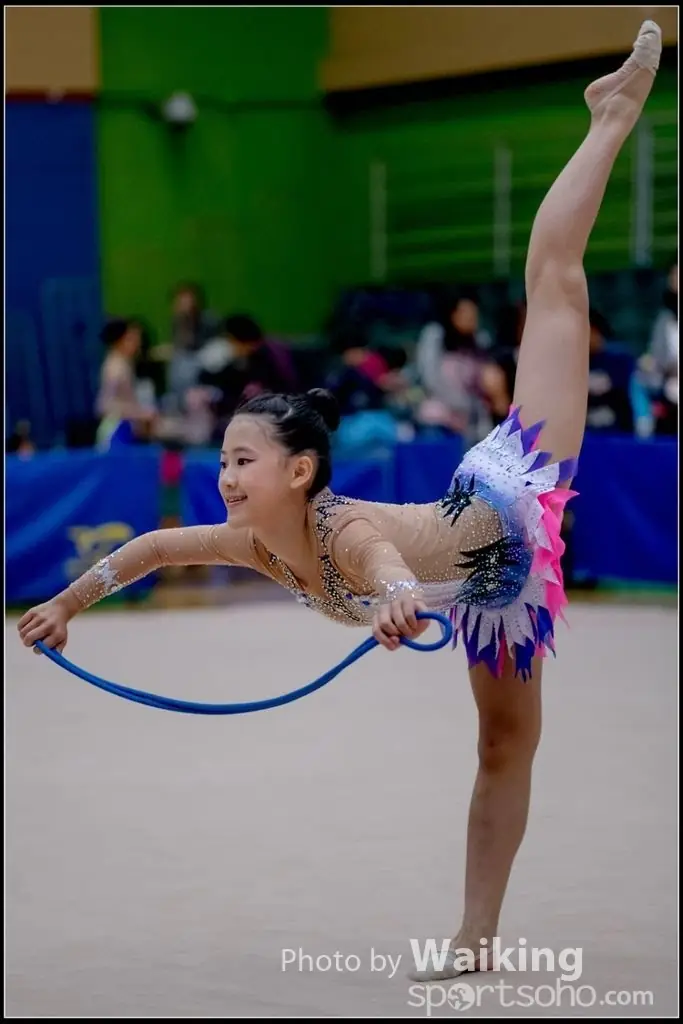 Hong Kong Artistic Gymnastics Open Competition