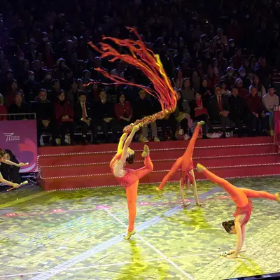 2024 Chinese New Year's Day Cathay Flower Queen Parade 9