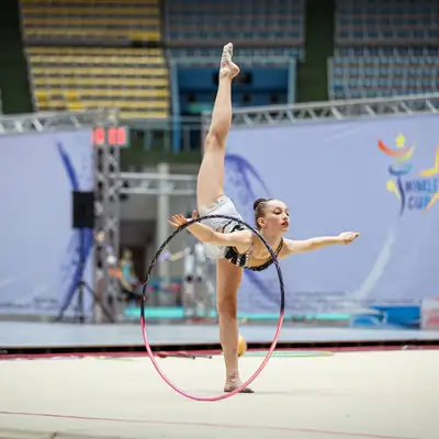 Comprehensive Collection of Competitions and Activities 14